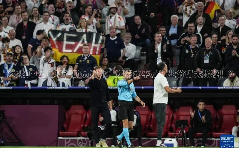 球速体育welcome挪威主权基金《揭秘中国足球运动员薪水：薪资水平及行业分析大揭秘！》