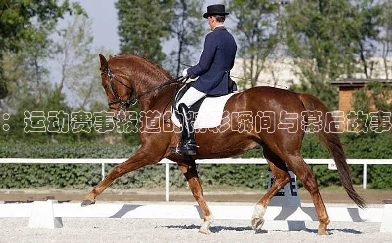 球速体育官方入口百度智能云：运动赛事报道的精彩瞬间与幕后故事