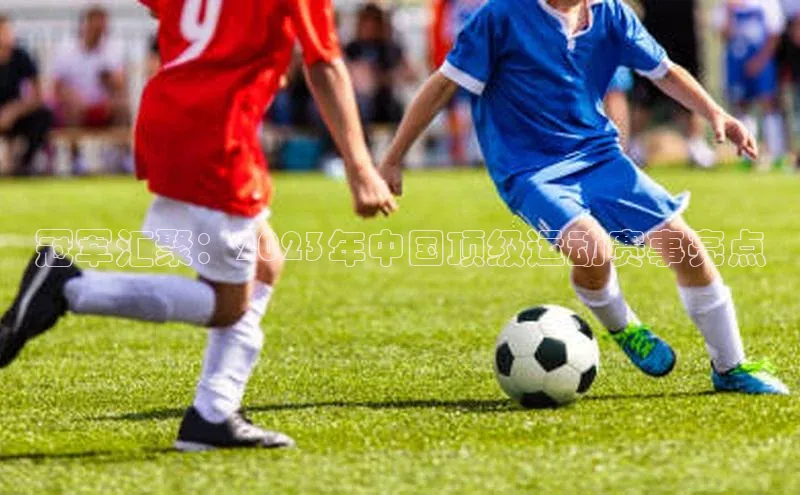 冠军汇聚：2023年中国顶级运动赛事亮点