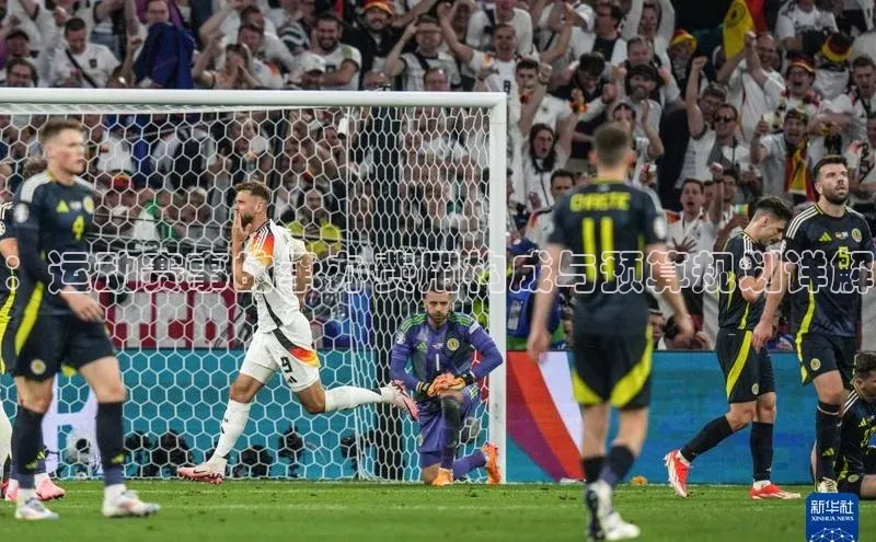 ：运动赛事的承办费用构成与预算规划详解