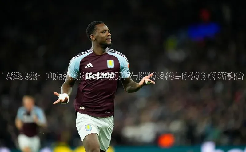 飞越未来：山东无人机运动赛事公司推动科技与运动的创新融合