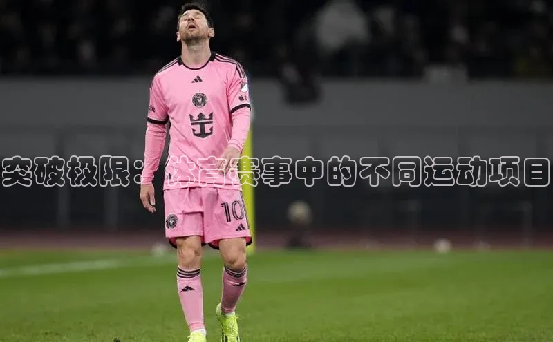 突破极限：体育赛事中的不同运动项目