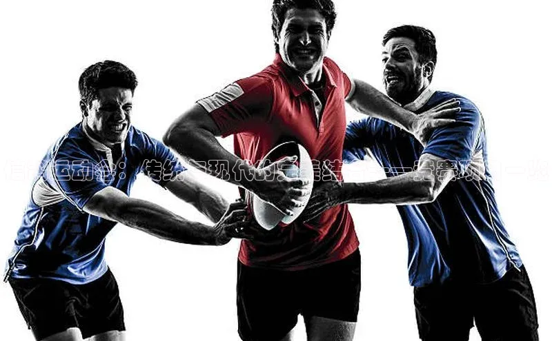 信鸽运动会：传统与现代的完美结合——竞赛项目一览