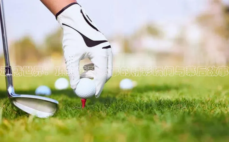 动感世界：顶级运动赛事的精彩瞬间与幕后故事