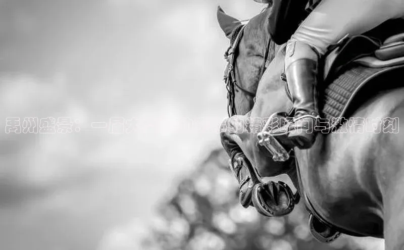禹州盛景：一届大型运动赛事的精彩瞬间与激情时刻