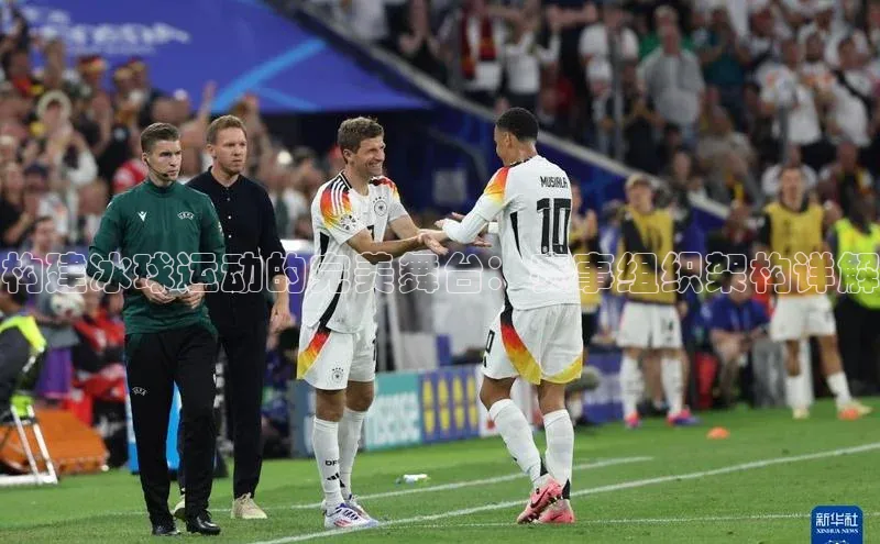 构建冰球运动的完美舞台：赛事组织架构详解