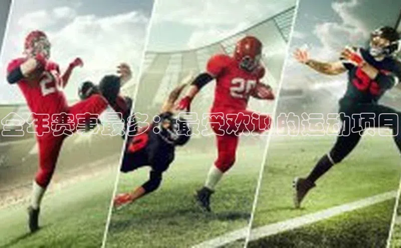 全年赛事最多：最受欢迎的运动项目