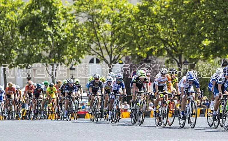 动感世界：趣味运动会的无限魅力