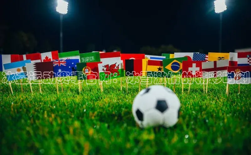 冰壶运动赛事官网：冰雪激情的精彩时刻