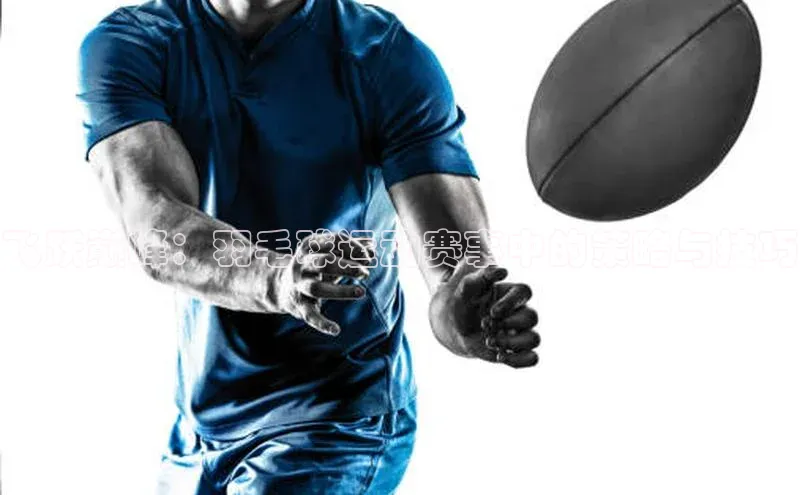 飞跃巅峰：羽毛球运动赛事中的策略与技巧