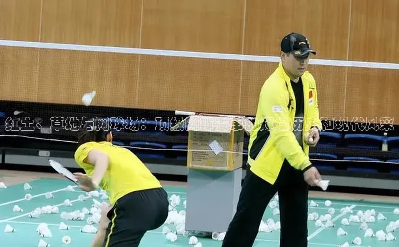 红土、草地与网球场：顶级网球赛事的辉煌历史和现代风采