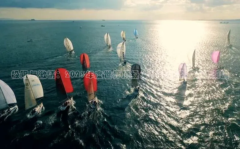 极限与激情：2023年度世界顶级体育运动赛事活动前瞻