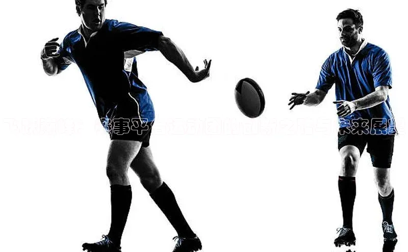 飞跃巅峰：赛事平台运动团的创新之路与未来展望