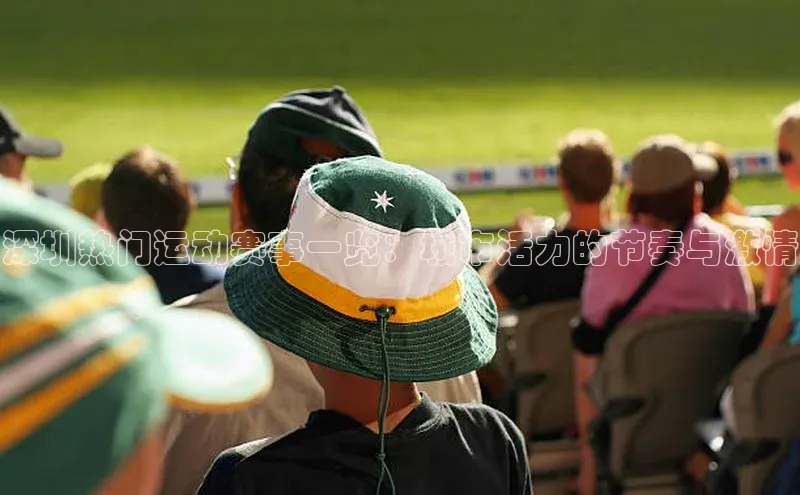 球速app官网登录入口