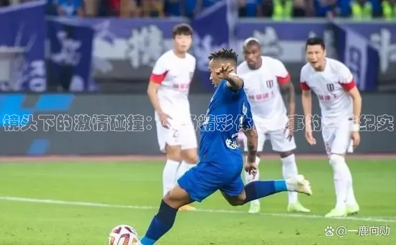 球速体育app官网入口