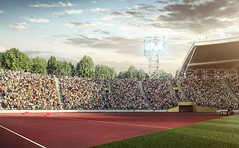 美洲的体育盛宴：世界杯、美洲杯与其它重要赛事