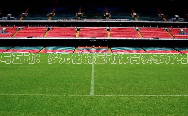 与互动：多元化的运动体育赛事介绍